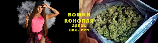 spice Алексин
