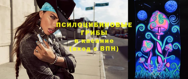 spice Алексин