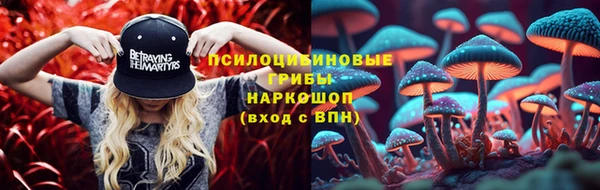 сатива Алексеевка