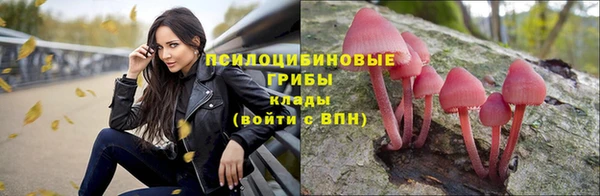 сатива Алексеевка